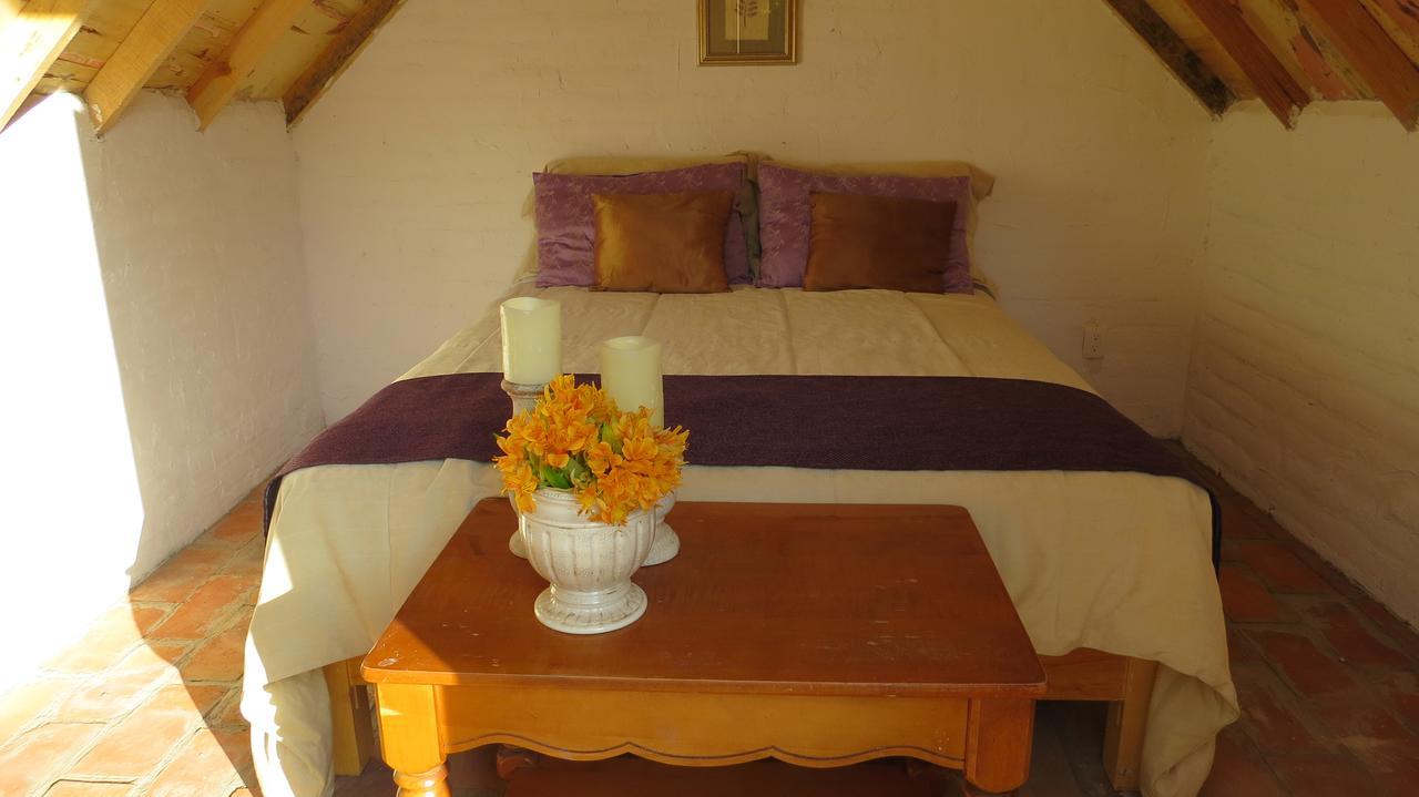 Hotel Cielito Mexicano San Francisco del Rincón Zewnętrze zdjęcie